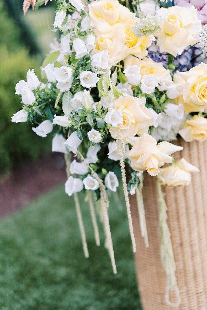 Yellow roses