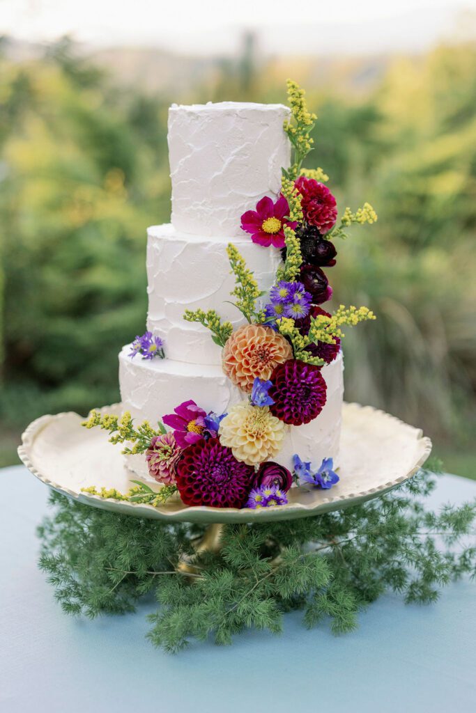 Blue Ridge Mountains Wedding